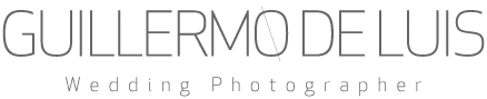 Guillermodeluis.es logo